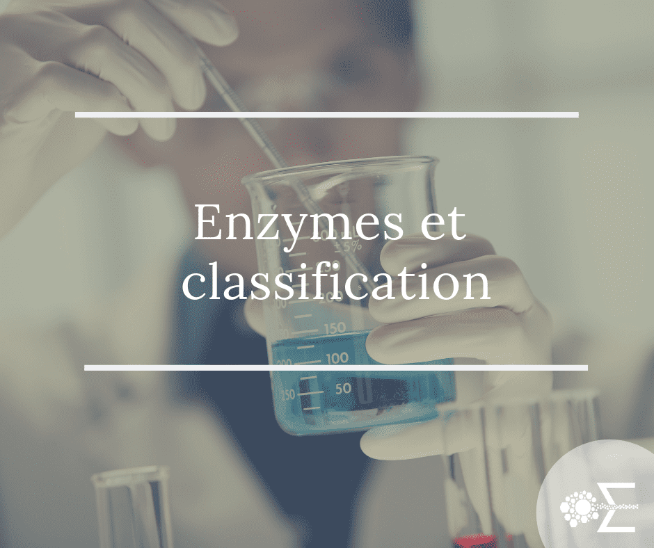 Enzymes et classification